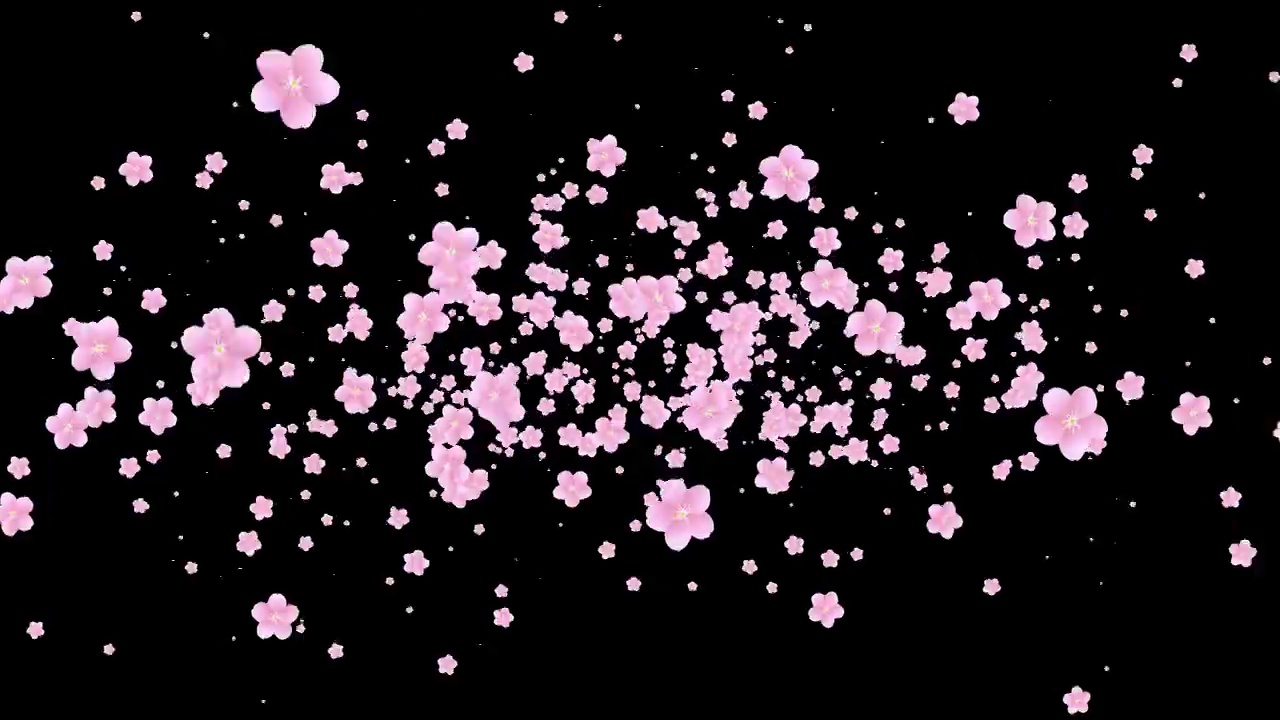 循环透明的背景视频与樱花出现从中心视频下载
