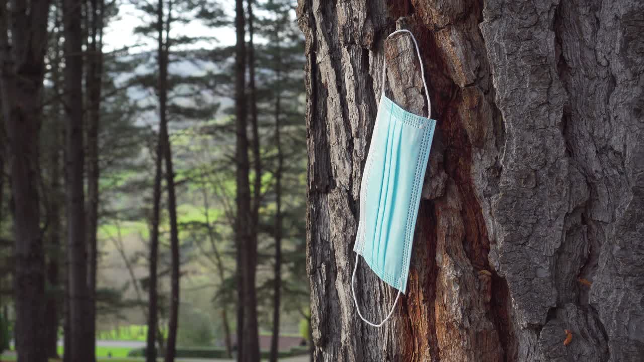 在森林中的一棵松树树干的树皮上使用过的医用防护口罩视频素材