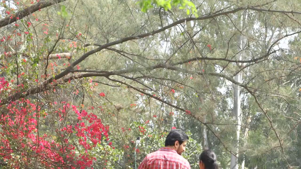 幸福的夫妇在公园度过闲暇时光视频下载