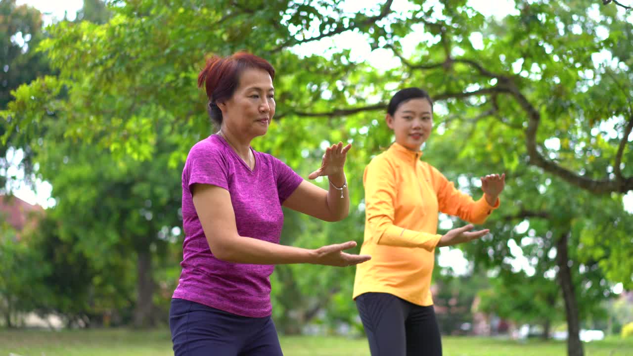 亚洲华人母亲女儿在公园练习太极视频下载