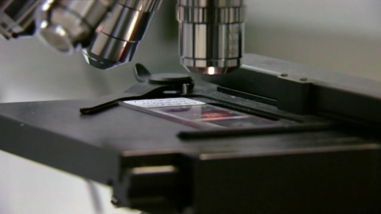 实验室用CU显微镜检查载玻片;2001视频下载