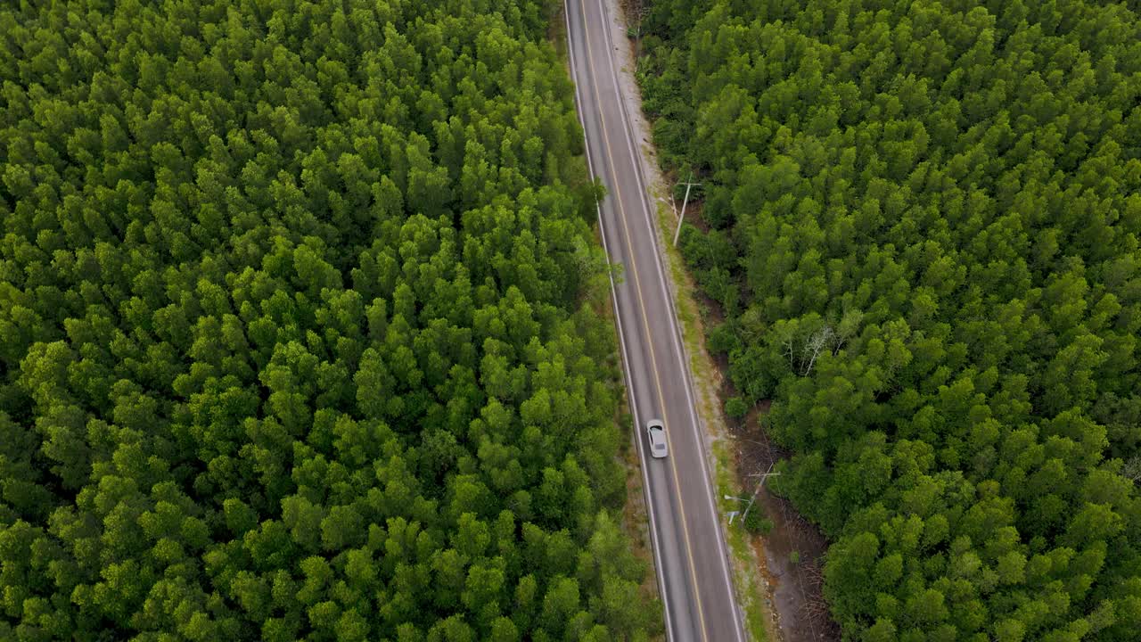汽车在柏油路上行驶，穿过森林。视频素材