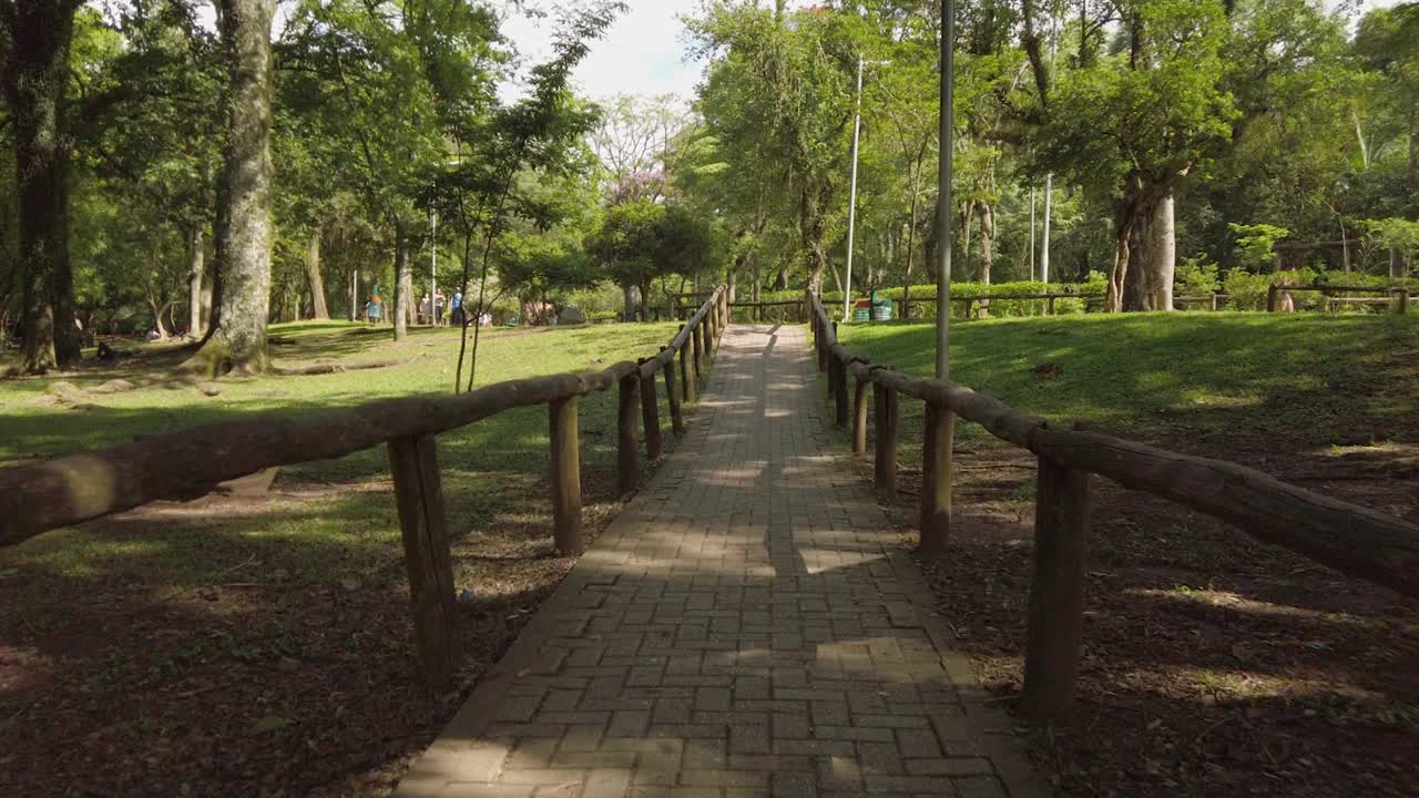 巴西圣保罗的Ibirapuera公园视频下载