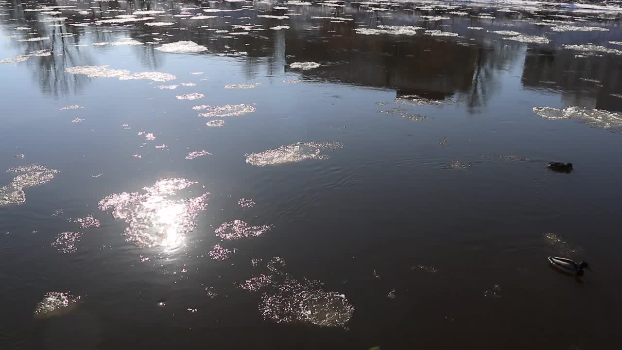 尼里斯河上的浮冰视频下载