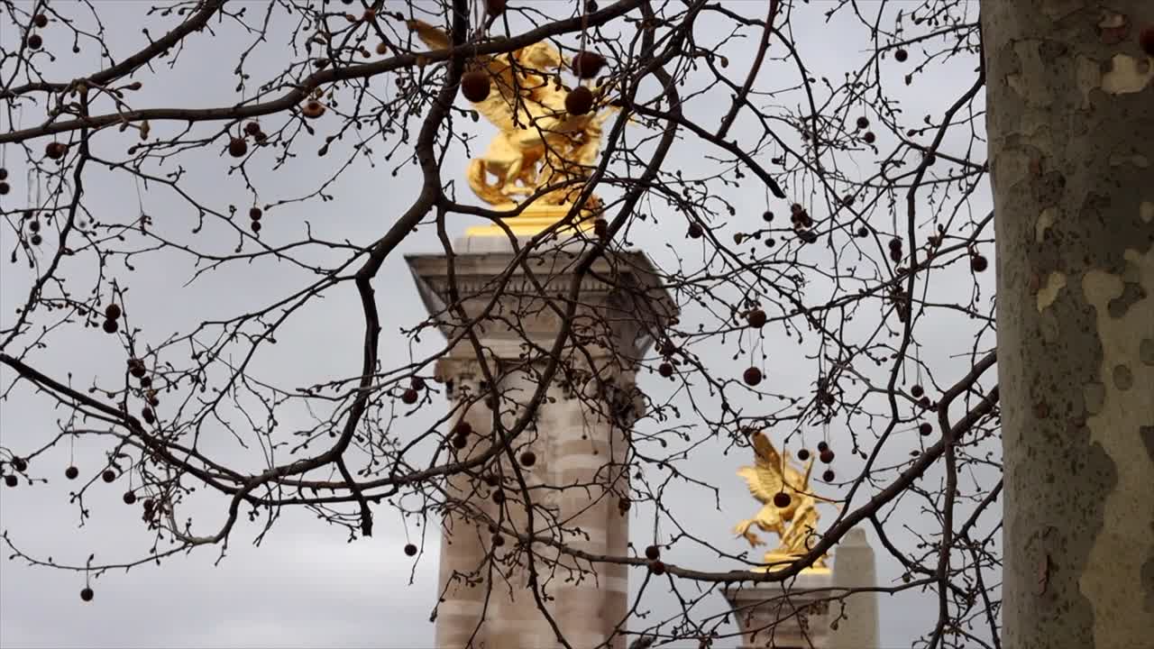 树枝上没有叶子，冬天的亚历山大三世雕像前的桥视频下载