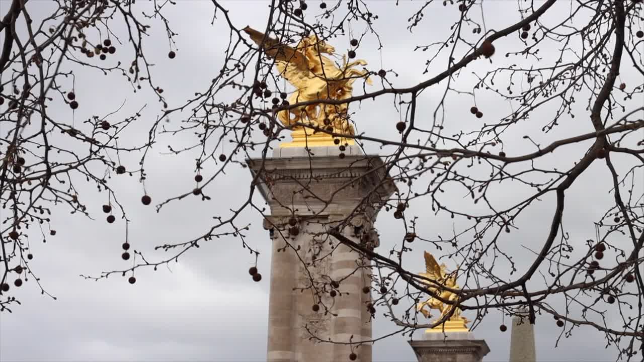 树枝上没有叶子，冬天的亚历山大三世雕像前的桥视频下载