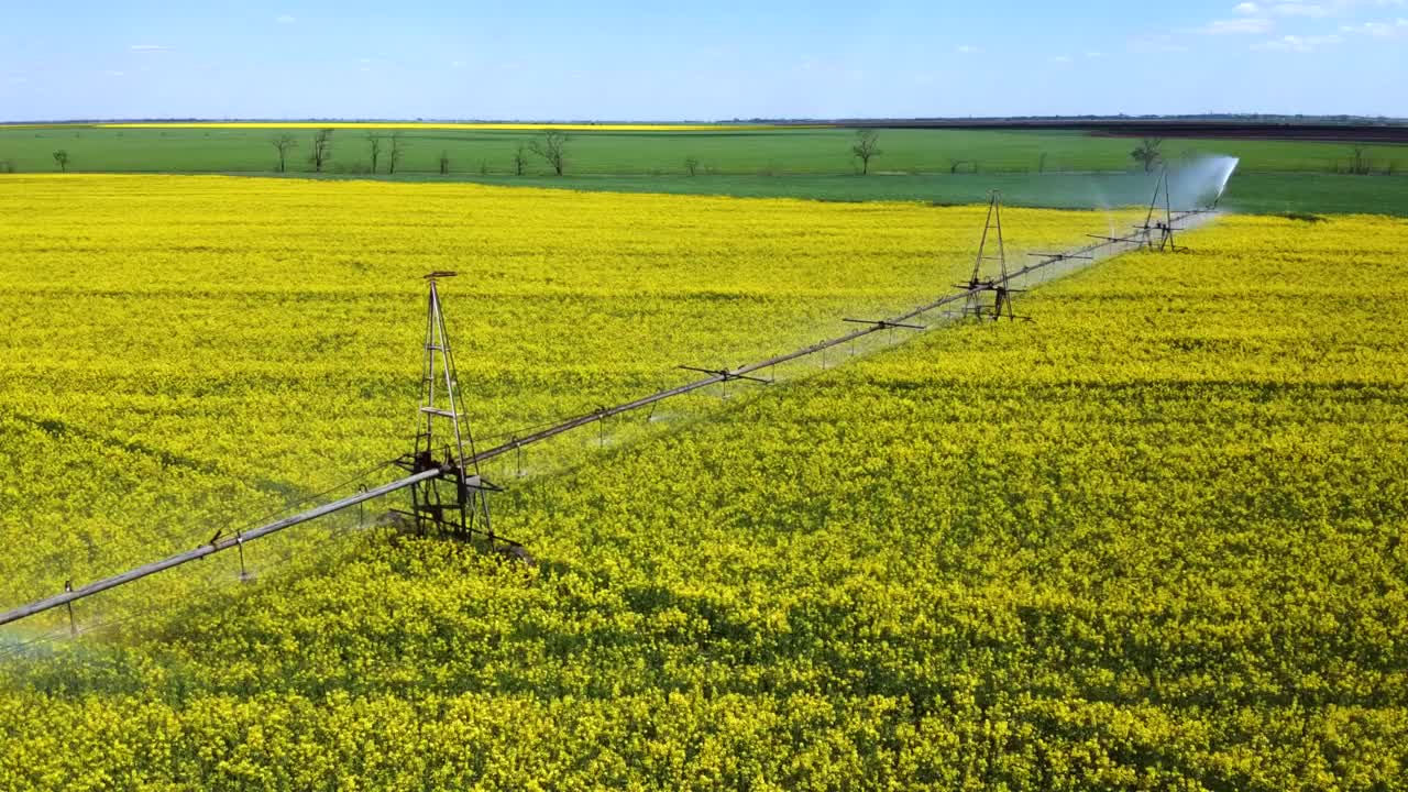 油菜花田间灌溉系统研究背景。视频下载
