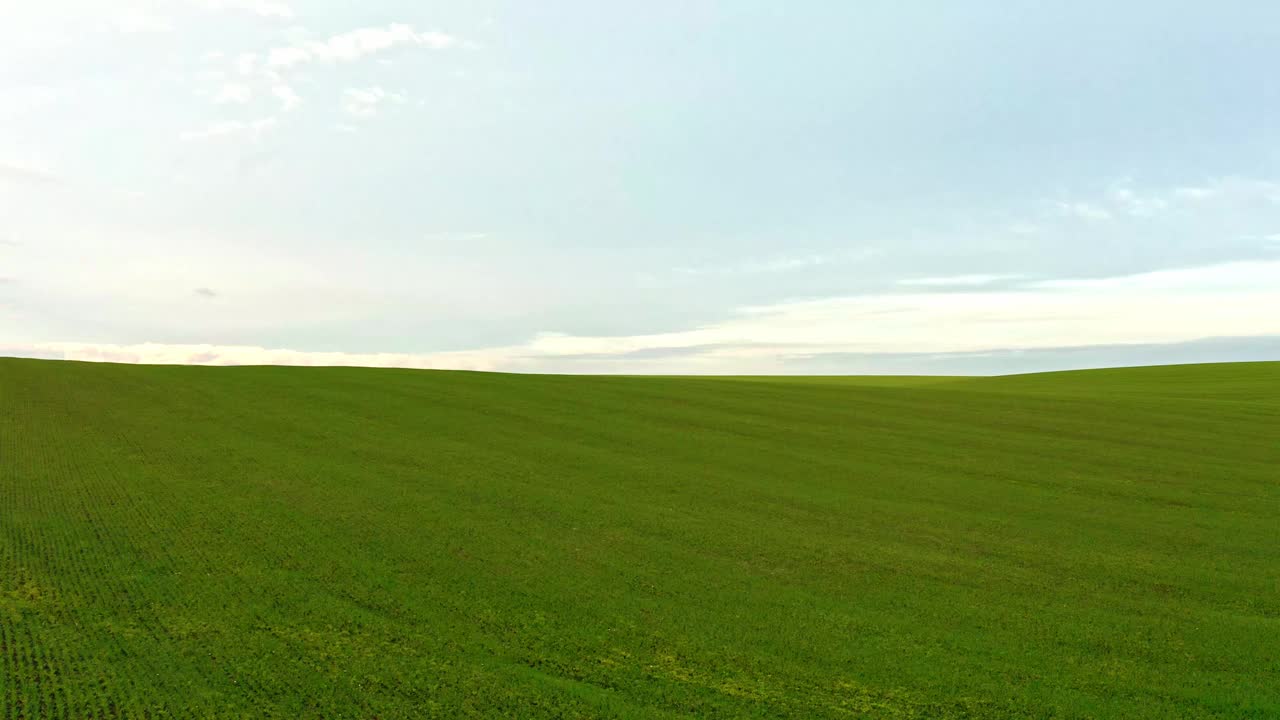 明亮的绿色田野和美丽的云彩视频素材