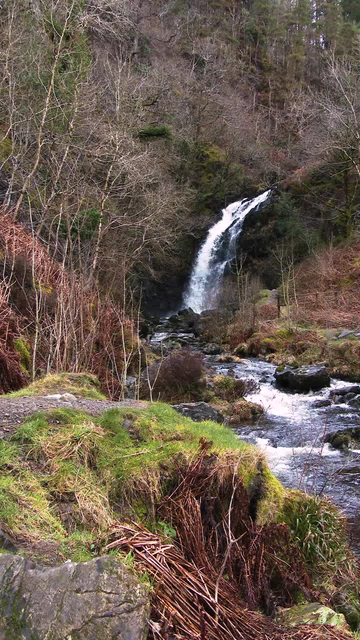 春天乡间的苏格兰瀑布视频素材