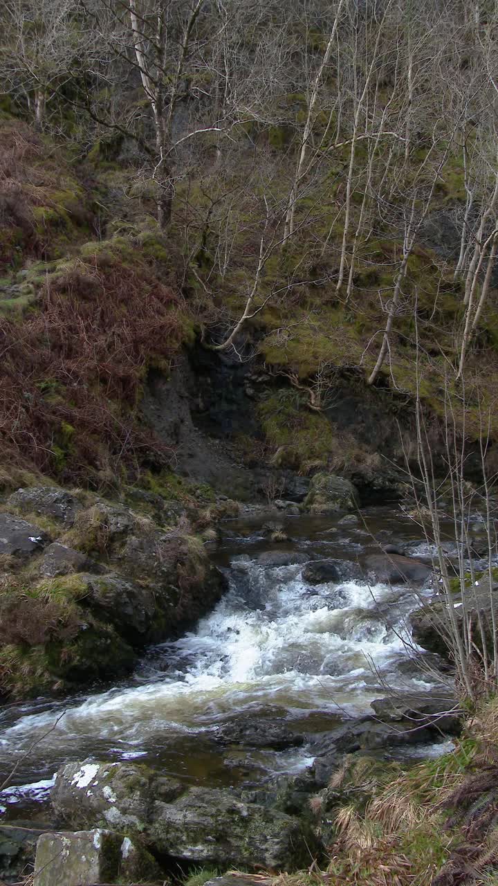 阴天的春天早晨苏格兰的一条河视频素材