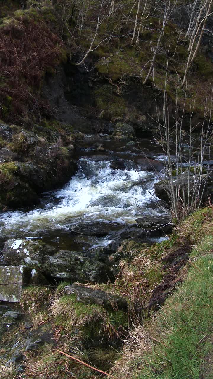 苏格兰一条小河在春天的慢镜头视频下载