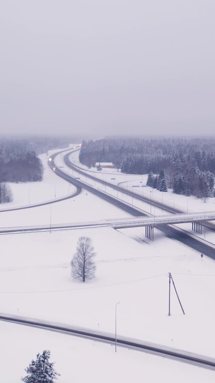 爱沙尼亚垂直视频中厚厚的白雪覆盖着地面视频素材