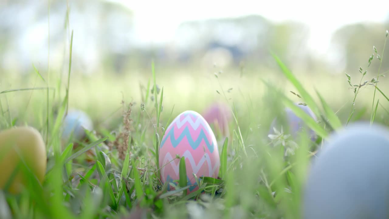 复活节彩蛋藏在草丛中寻找复活节彩蛋。视频下载
