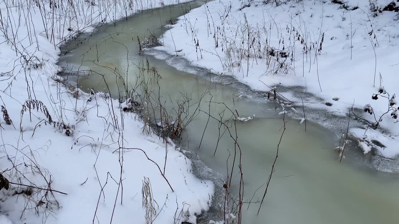 高清4k镜头拍摄了冬季公园里冻结的小溪，黑色的树干站在水中，阴天天气视频素材