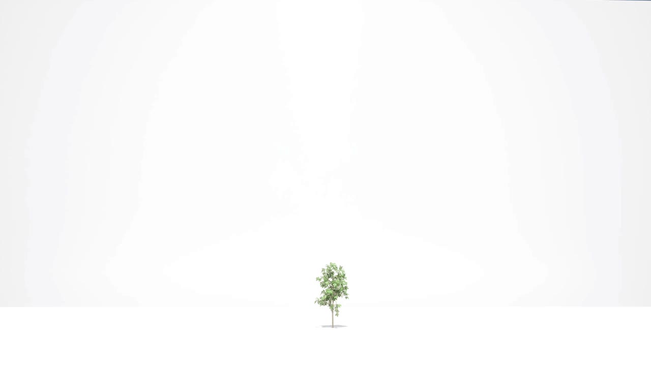 绿色树木生长在白色的自然春季3d动画4k视频下载
