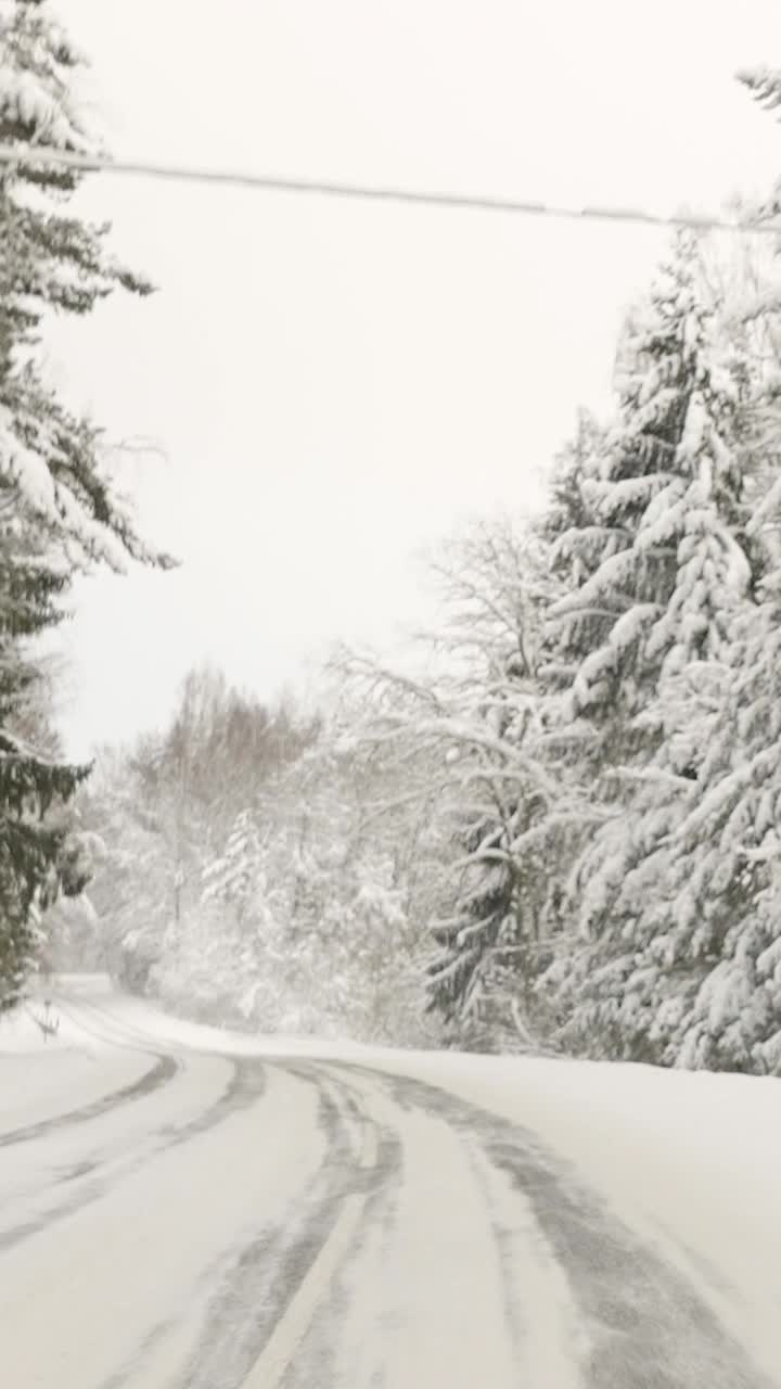 爱沙尼亚森林中路边厚厚的积雪垂直拍摄视频素材