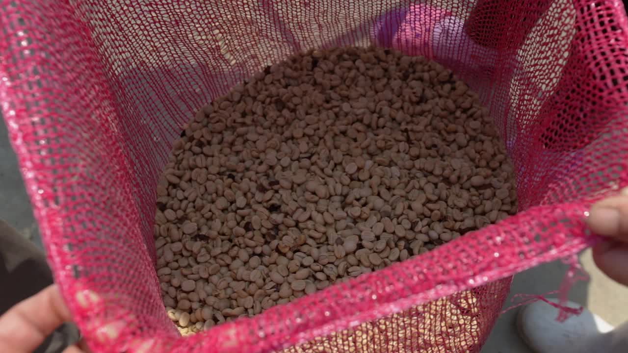 工人将咖啡豆倒进一个袋子里。视频下载