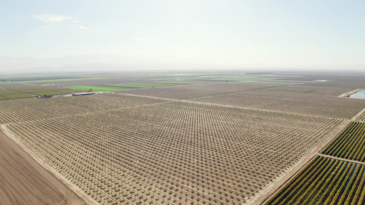 加州开心果农场的鸟瞰图视频下载
