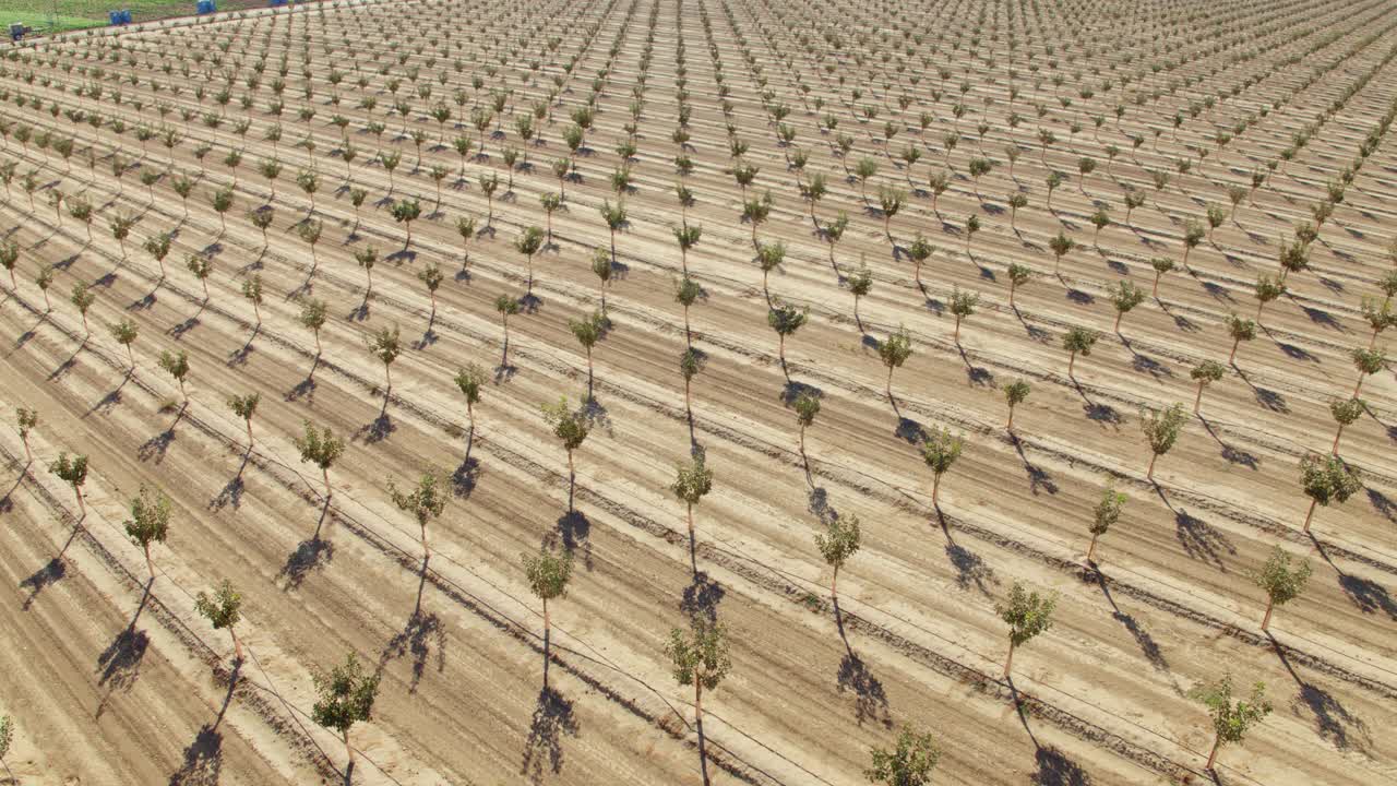 加州开心果农场的鸟瞰图视频素材