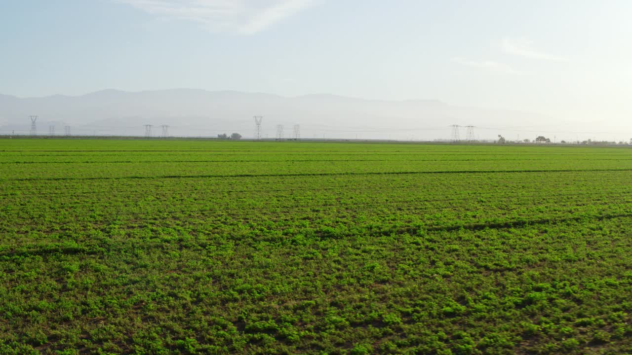 加利福尼亚农场的鸟瞰图视频素材