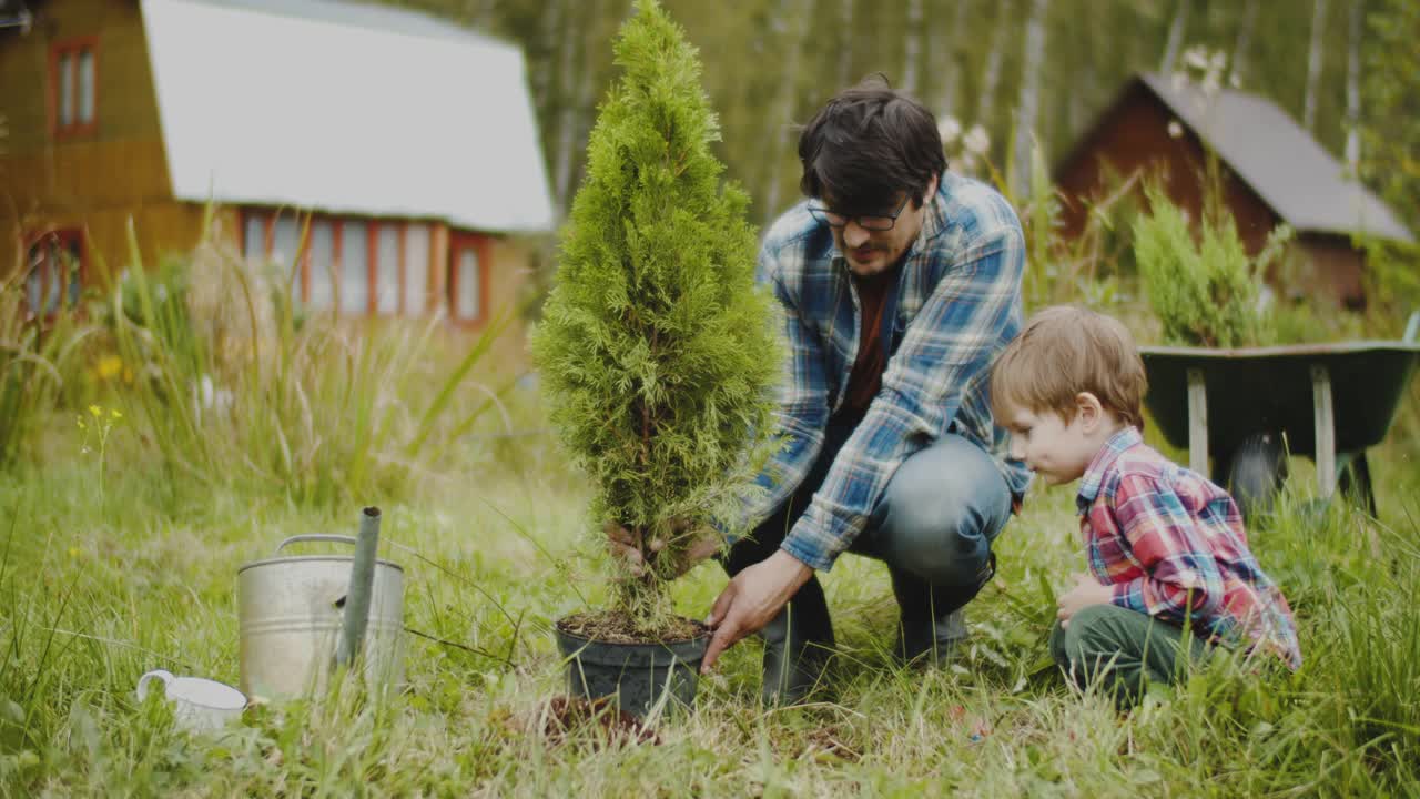 家庭在后院种树视频下载