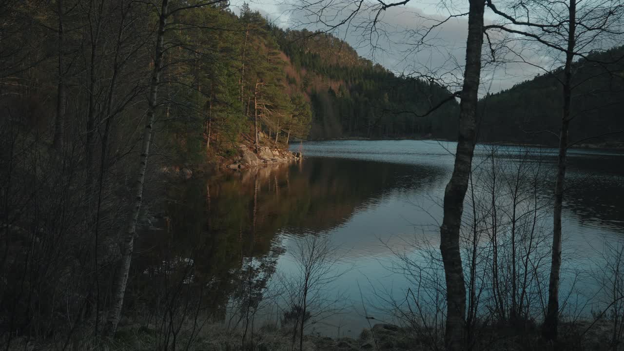 挪威的森林:晚春日落时湖边的树木的细节视频素材