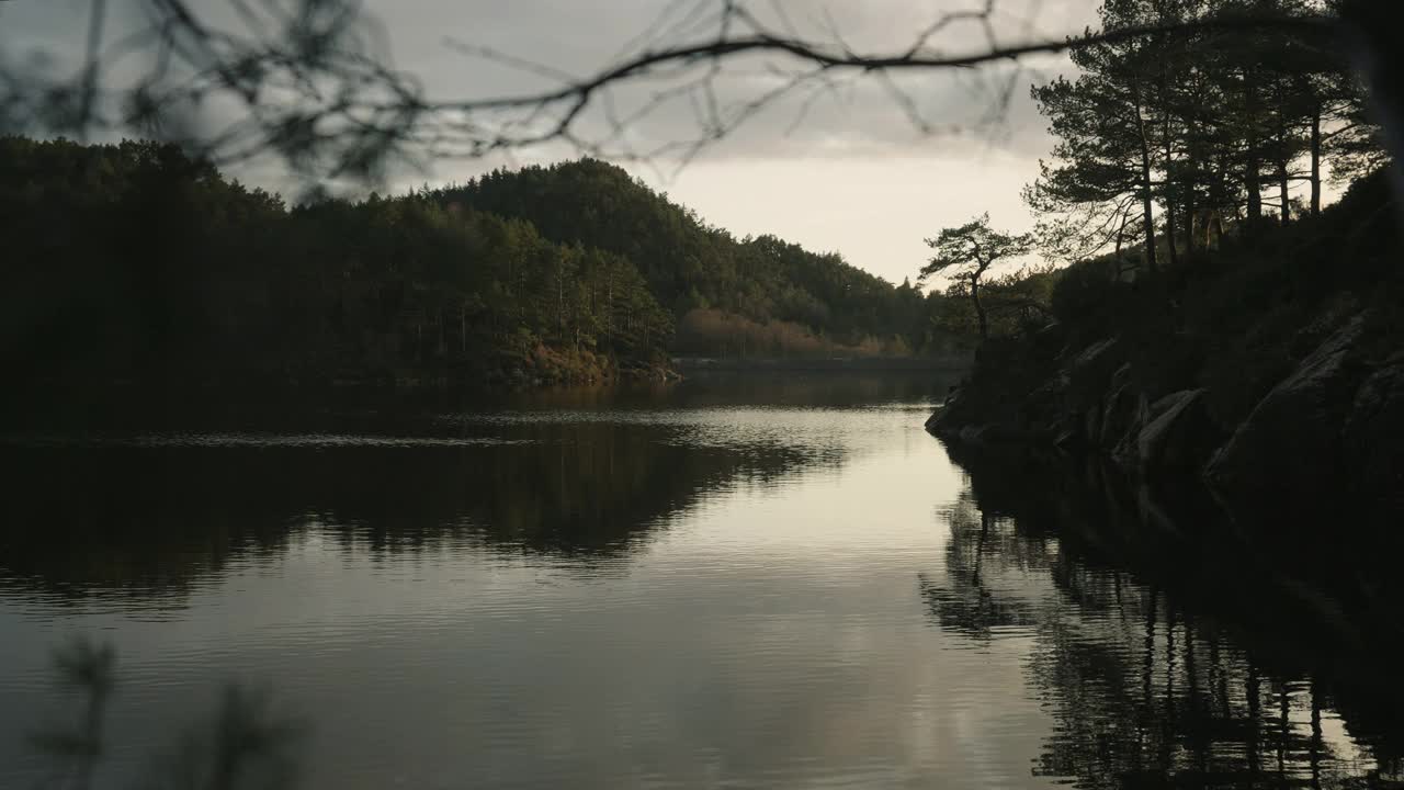 挪威的森林:晚春日落时湖边的树木的细节视频素材