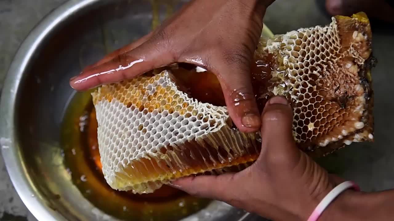 蜂巢视频素材