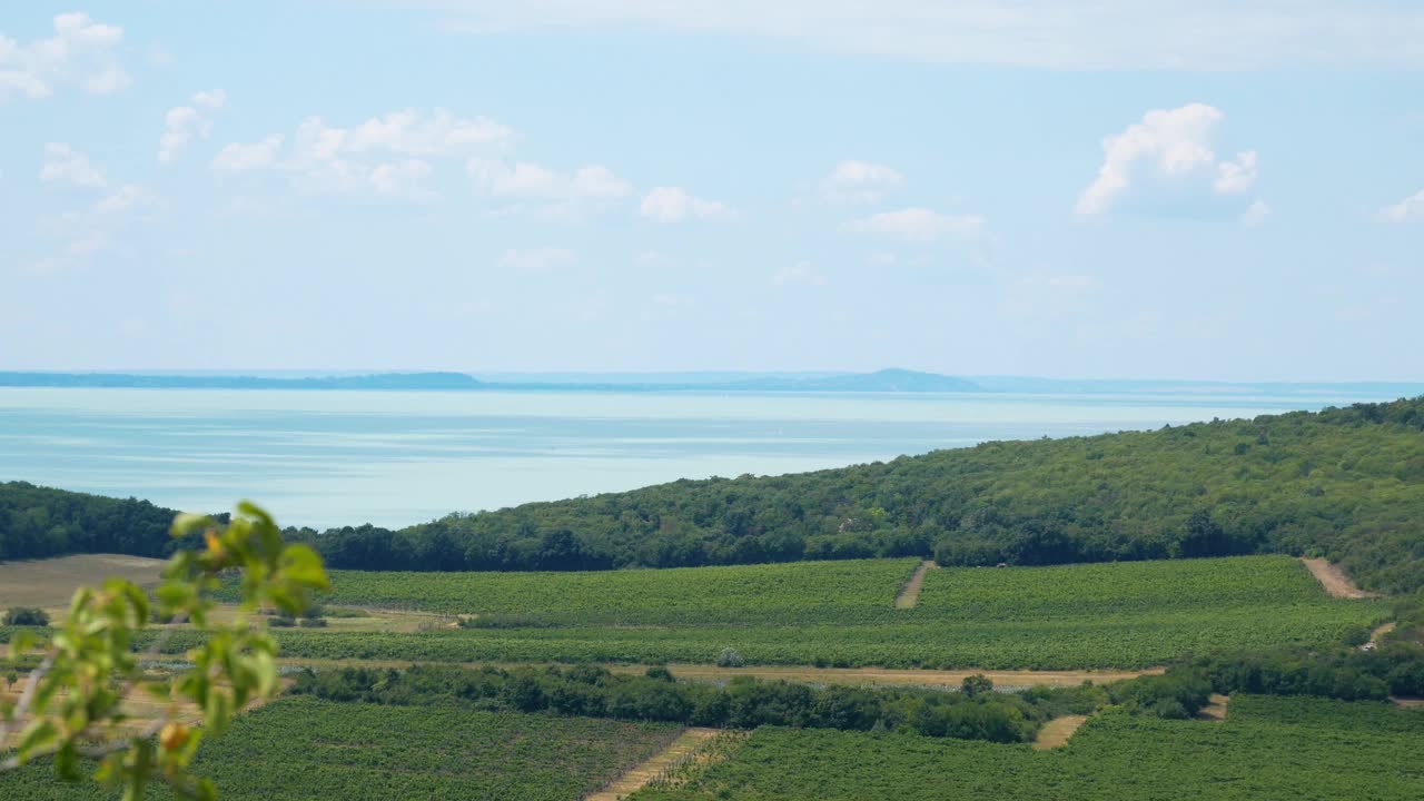 巴拉顿湖鸟瞰图。美丽的湖和港口全景。Tihany，匈牙利Balaton湖，欧洲4K视频下载