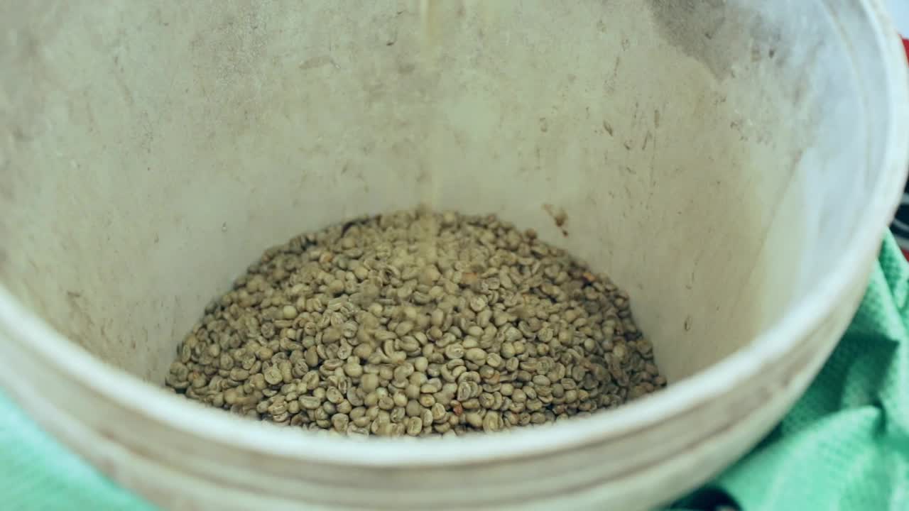 咖啡豆是从研磨机里出来的视频素材