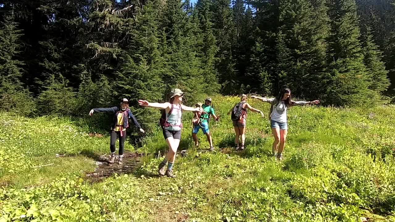 一群人在森林中跳舞视频下载