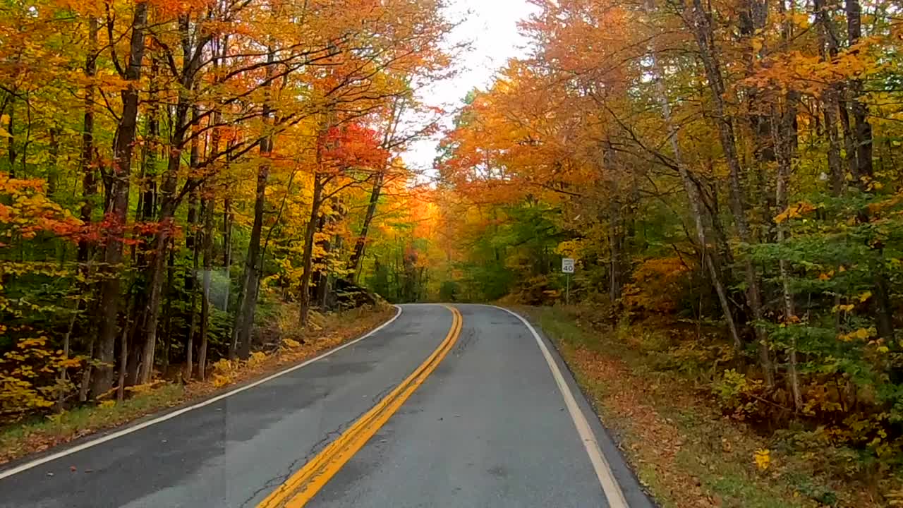 时间推移-驾驶在树下全彩在秋天在佛蒙特州视频素材
