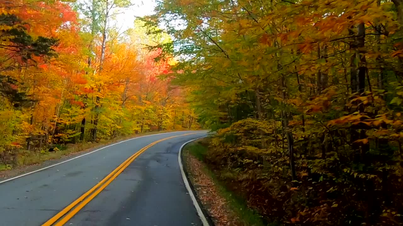 时间推移-驾驶在树下和周围的曲线，树改变颜色在秋天在佛蒙特州视频素材