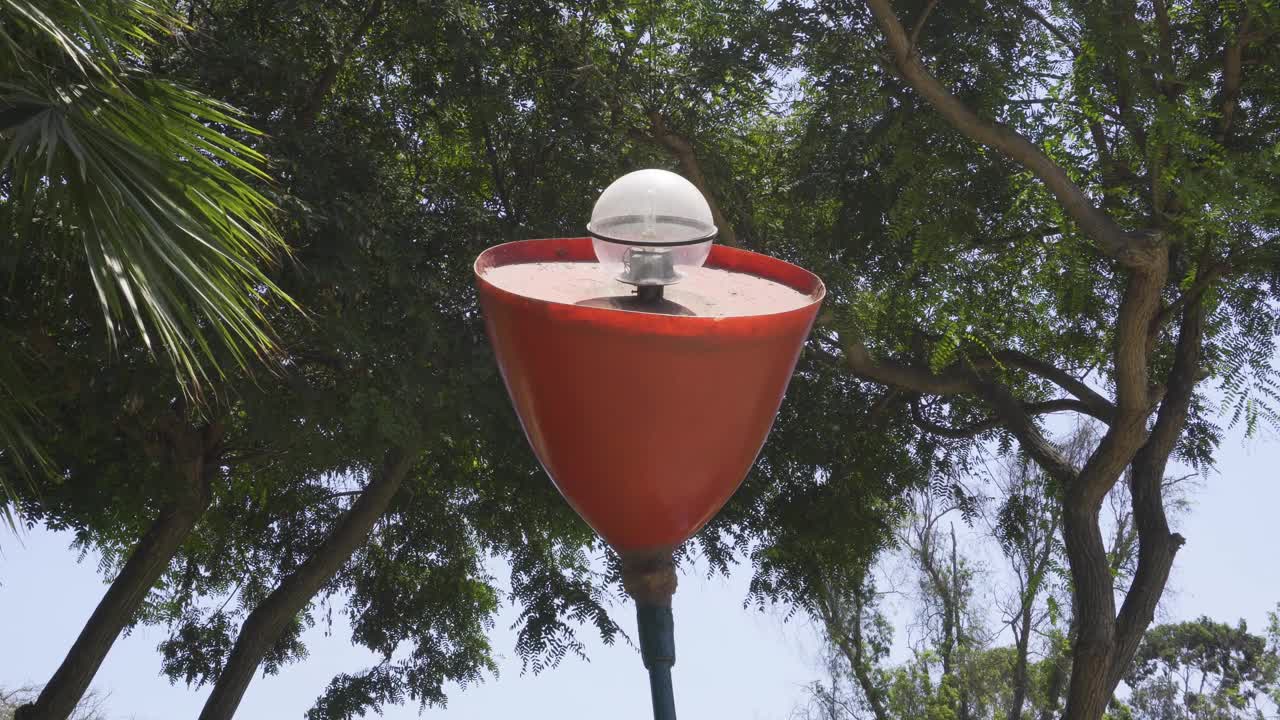 白天在城市公园里的一个花形灯塔视频素材
