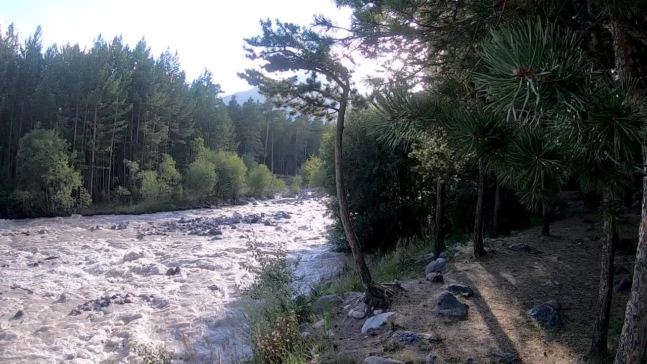 山河在森林中流淌视频素材