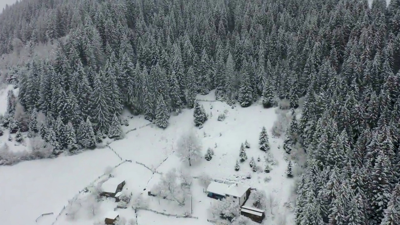 景区鸟瞰图的小村庄在松树山森林期间降雪和暴风雪视频下载