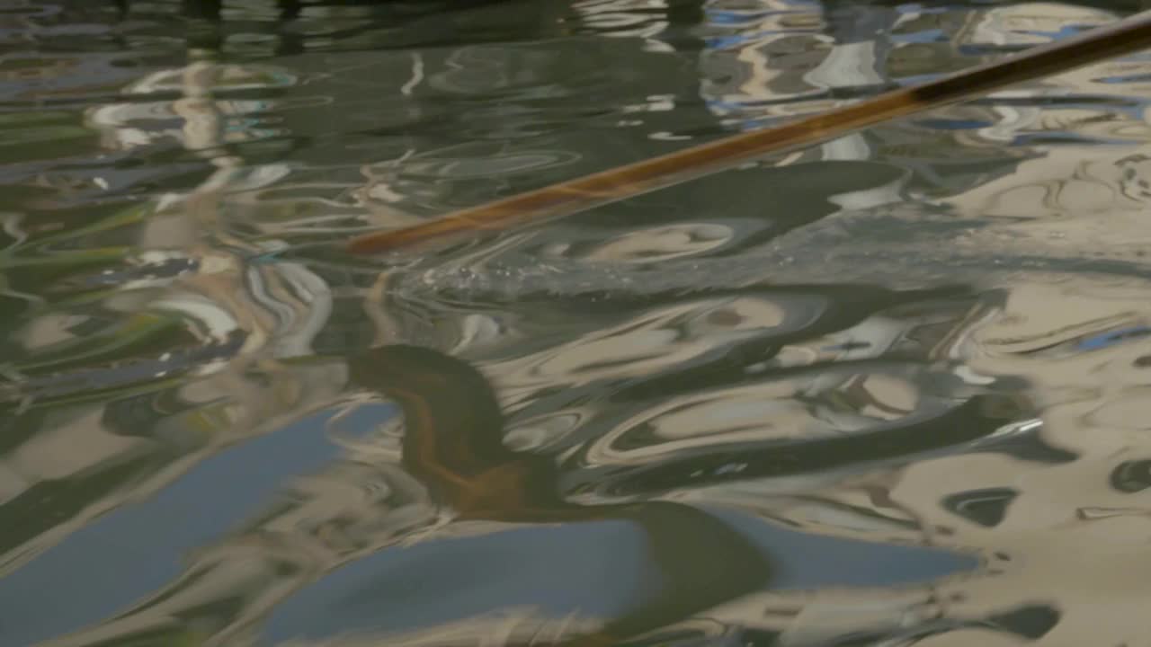 船夫在水中划桨的特写。视频下载