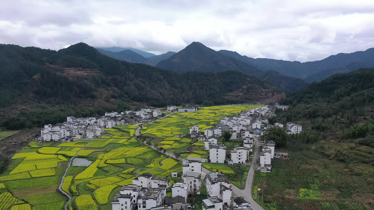 航拍中国婺源美丽的乡村风光视频下载
