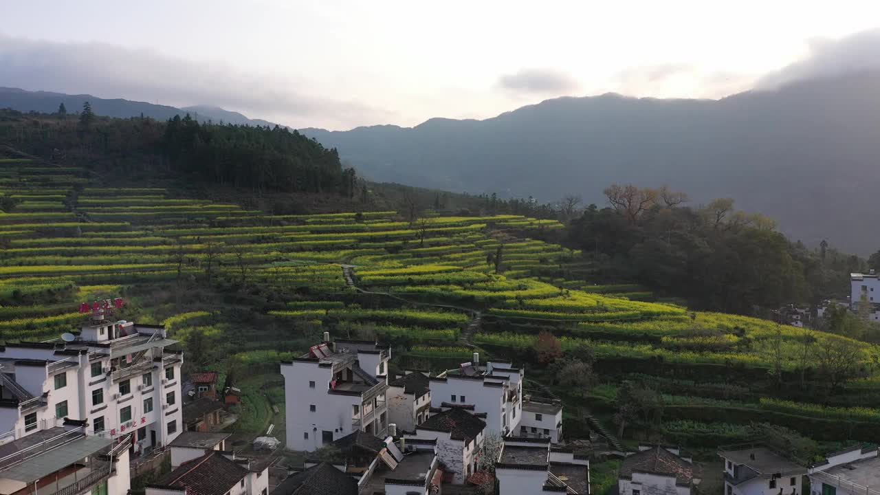 航拍中国婺源美丽的乡村风光视频素材