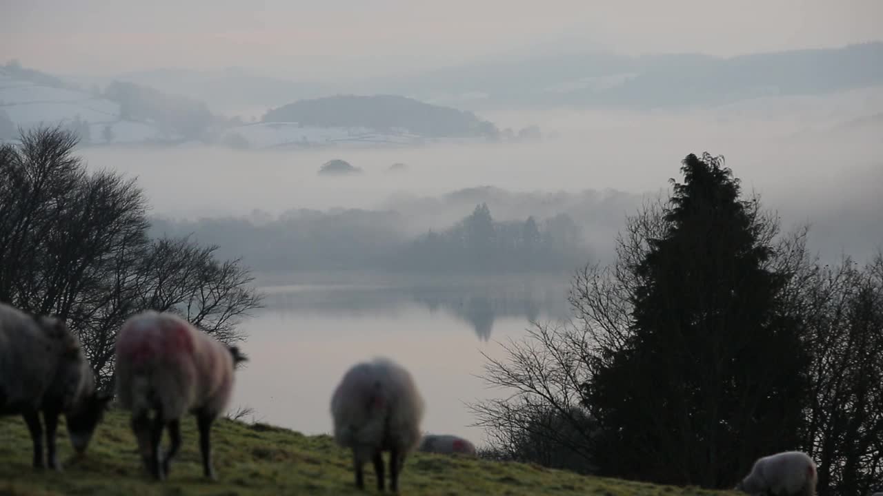 英国安布尔赛德湖区温德米尔湖上空雾气弥漫。视频下载