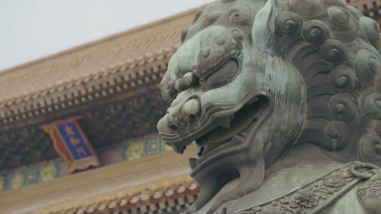 中国北京紫禁城内的大型皇家狮子雕像。视频下载