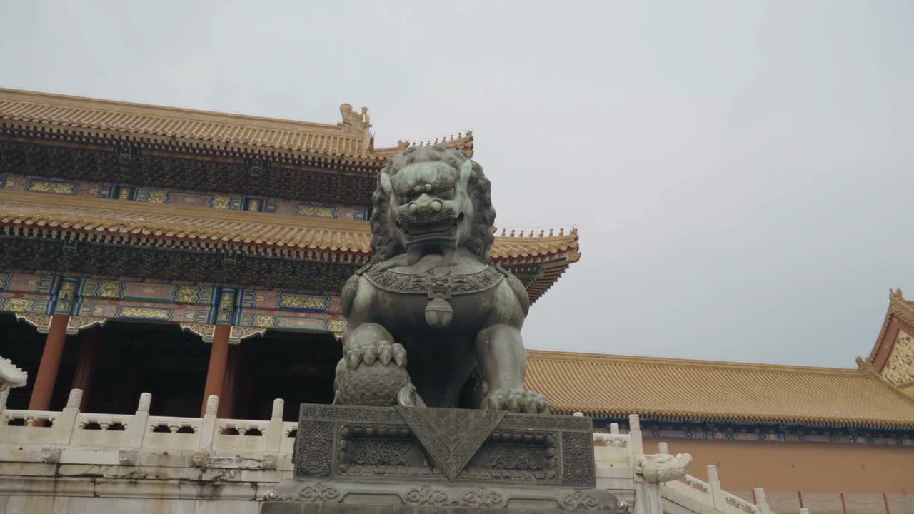 中国北京紫禁城内的大型皇家狮子雕像。视频素材