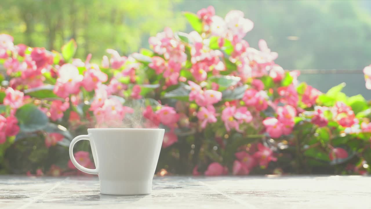 早上在花园里喝一杯热咖啡视频下载