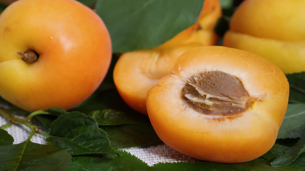 成熟的杏子在绿叶上视频素材