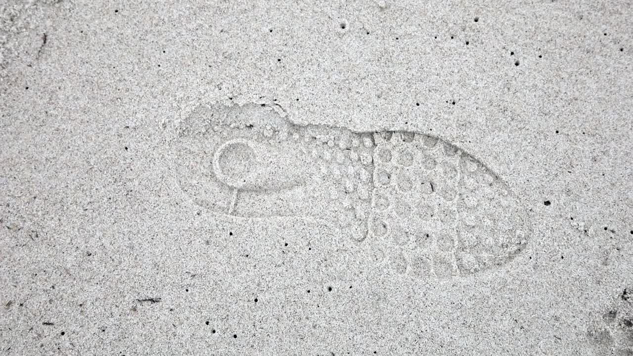 脚印鞋印灰色沙滩上的狗爪印视频下载