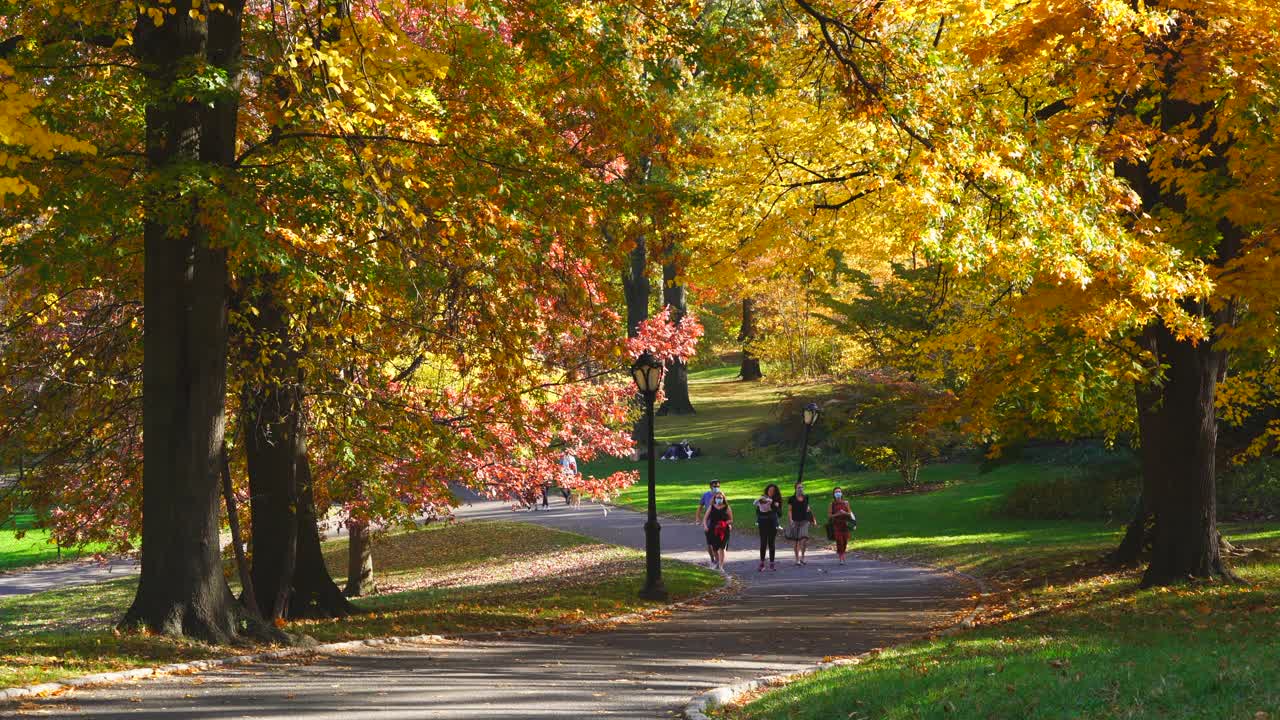 在纽约中央公园，人们戴着口罩走在秋日树木间的小路上。视频素材