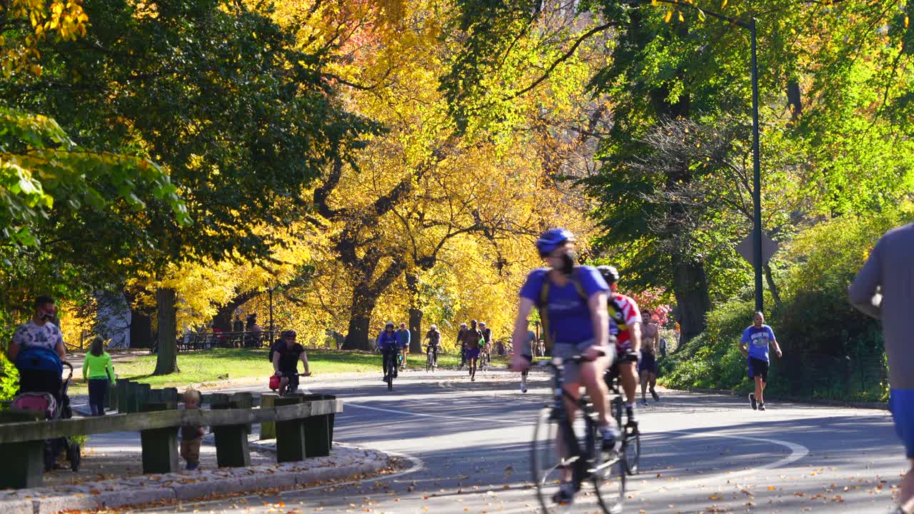 戴着口罩的人们在秋天的树木之间的中央公园散步、跑步和骑自行车。视频下载