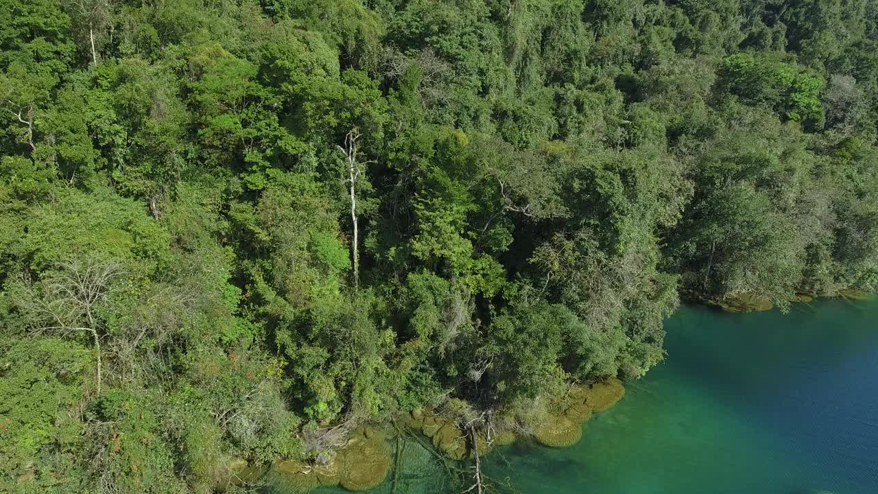 米拉玛湖拉坎东雨林，墨西哥恰帕斯视频素材