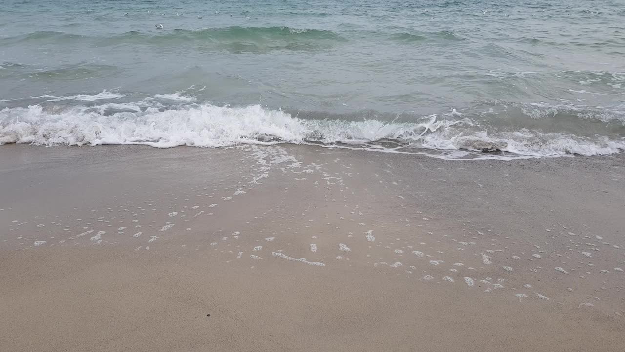 浪花上的海鸥。暴风雨天气。波涛汹涌的海面。视频下载