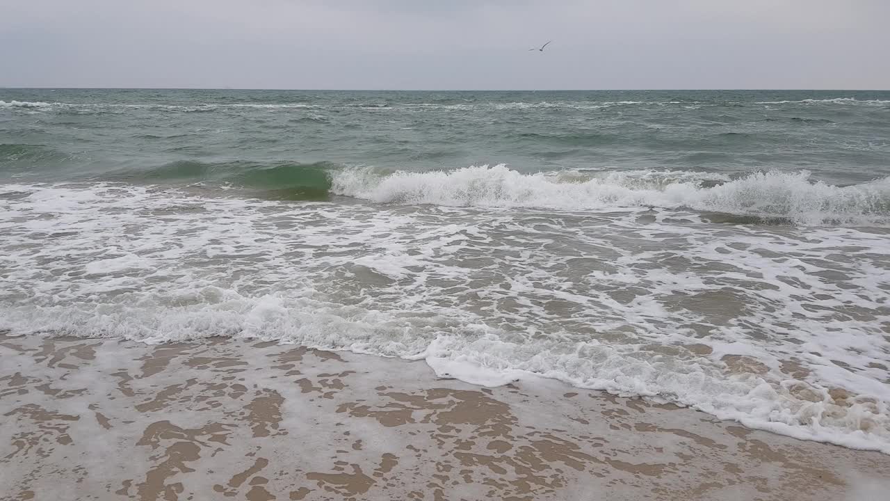 海景，沙滩，大海和灰色的云，海鸥在海浪上翱翔。暴风雨天气。波涛汹涌的海面。视频下载